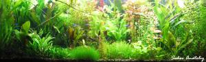 gallery_11723_780_224369.jpg