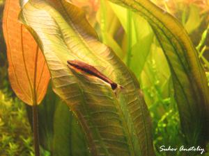 gallery_11723_780_277259.jpg