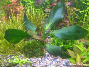 gallery_11723_780_460539.jpg