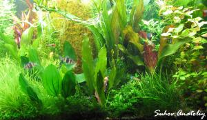 gallery_11723_780_513874.jpg