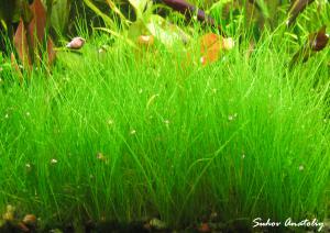 gallery_11723_780_866640.jpg