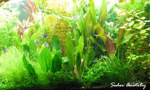 gallery_11723_780_885646.jpg