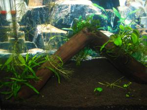 gallery_12924_794_179904.jpg