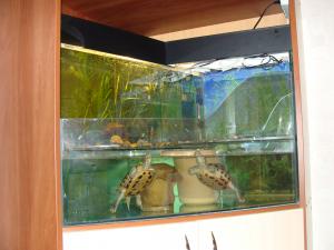 gallery_14442_799_1369656.jpg