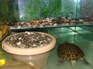 gallery_14442_799_2780160.jpg