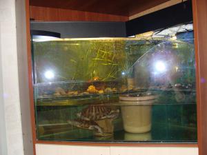gallery_14442_799_313082.jpg