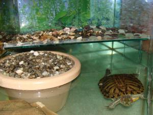 gallery_14442_799_2449649.jpg