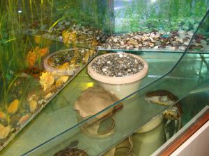 gallery_14442_799_2707539.jpg