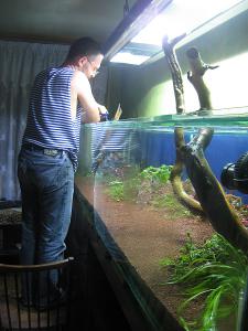 gallery_14544_803_115456.jpg