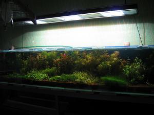 gallery_14544_803_269355.jpg
