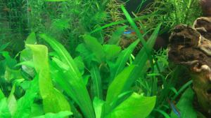 gallery_13713_771_561914.jpg