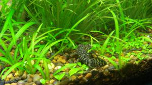 gallery_13713_771_639988.jpg