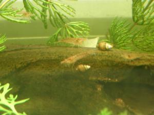 gallery_14311_810_210414.jpg