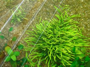 gallery_10001_838_169963.jpg