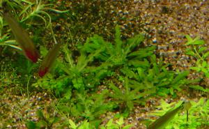 gallery_10001_838_23488.jpg
