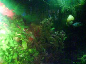 gallery_15126_840_218748.jpg