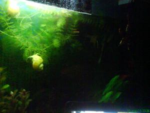 gallery_15126_840_267097.jpg