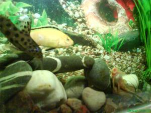 gallery_15126_840_29923.jpg
