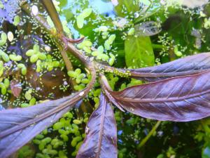 gallery_10001_838_184448.jpg