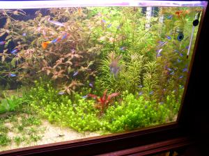 gallery_13364_845_1000340.jpg