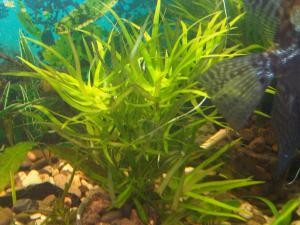 gallery_1436_864_145903.jpg