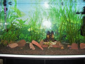 gallery_14151_819_191194.jpg