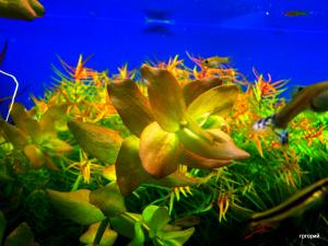 gallery_13203_887_13696.jpg