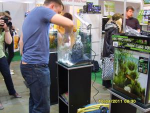 gallery_9962_889_126541.jpg