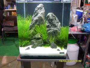 gallery_9962_889_57758.jpg