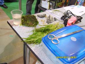 gallery_9962_889_84660.jpg