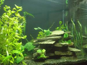 gallery_15751_894_1863823.jpg