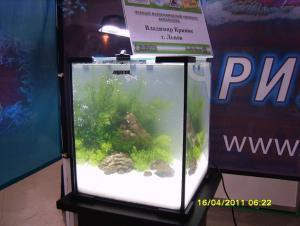 gallery_9962_895_131064.jpg