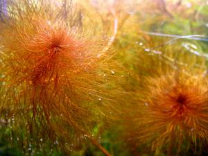 gallery_10001_838_154890.jpg