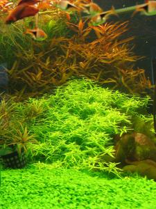 gallery_10001_838_540950.jpg