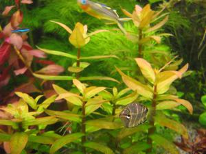 gallery_10001_838_75598.jpg