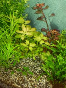 gallery_7840_913_138076.jpg