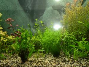 gallery_7840_913_89669.jpg