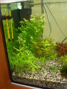 gallery_7840_913_226159.jpg