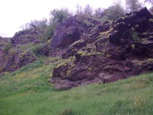 gallery_2516_918_129185.jpg