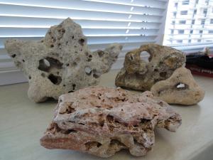 gallery_6988_921_2997665.jpg