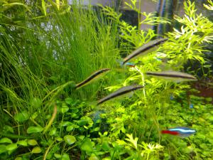 gallery_11904_672_101511.jpg