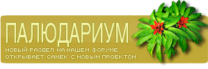 gallery_1_1_188.png