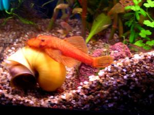 gallery_7576_878_77915.jpg