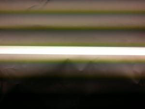 gallery_16245_976_299675.jpg