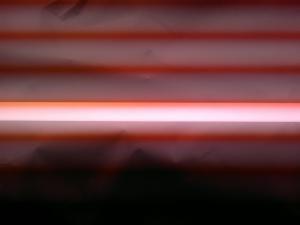gallery_16245_976_320472.jpg