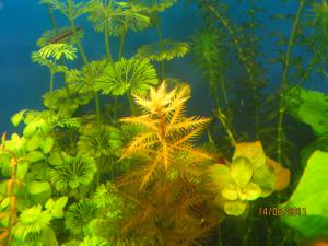 gallery_15687_997_82619.jpg