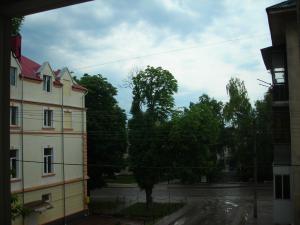 gallery_7576_884_185561.jpg