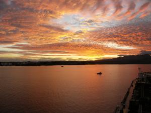 gallery_6172_1013_1452603.jpg
