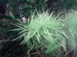 gallery_5560_965_751011.jpg