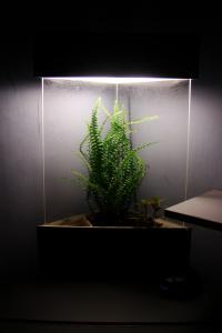 gallery_6091_1014_2412687.jpg